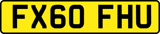 FX60FHU
