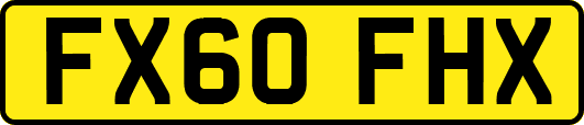 FX60FHX