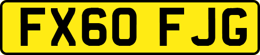 FX60FJG