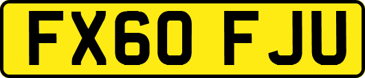 FX60FJU