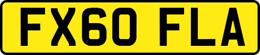 FX60FLA