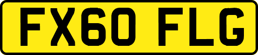 FX60FLG