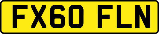 FX60FLN