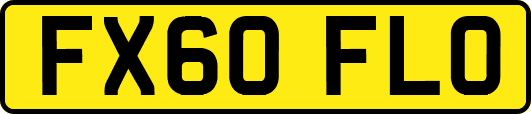 FX60FLO