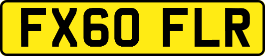 FX60FLR