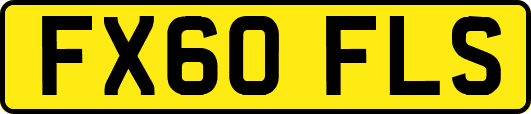 FX60FLS