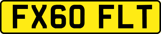 FX60FLT