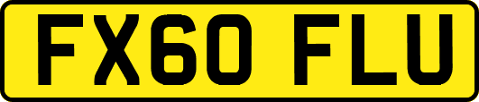 FX60FLU