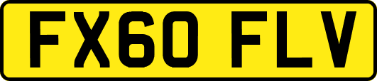 FX60FLV