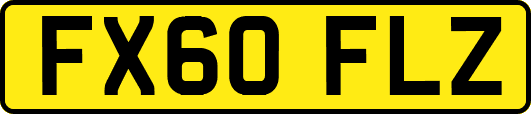 FX60FLZ
