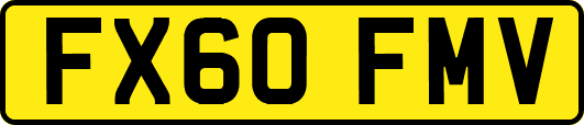 FX60FMV
