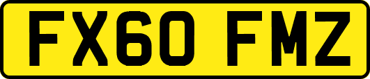 FX60FMZ