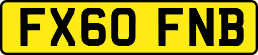 FX60FNB