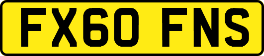 FX60FNS