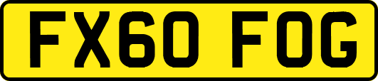 FX60FOG