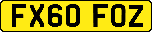 FX60FOZ
