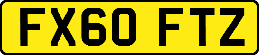 FX60FTZ