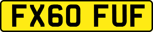 FX60FUF