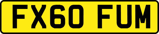 FX60FUM