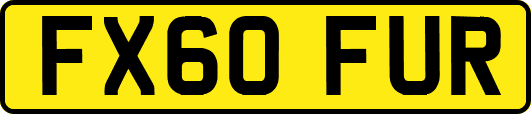 FX60FUR