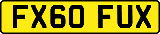 FX60FUX
