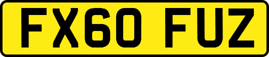 FX60FUZ