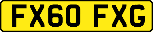 FX60FXG