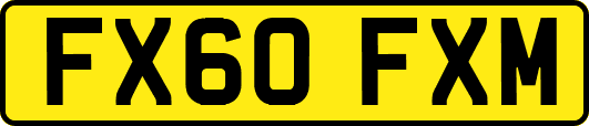 FX60FXM