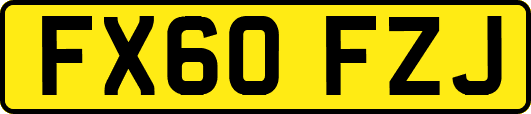FX60FZJ