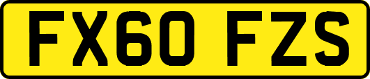 FX60FZS