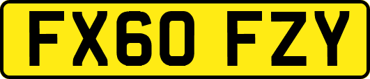 FX60FZY