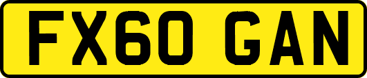 FX60GAN