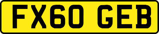 FX60GEB