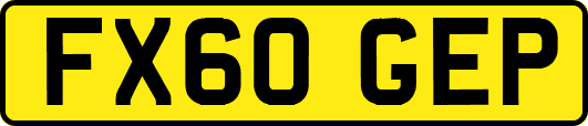 FX60GEP