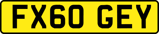 FX60GEY