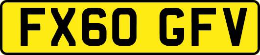 FX60GFV