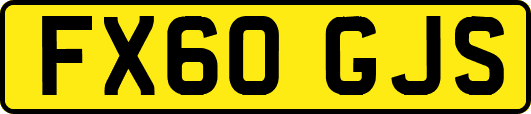FX60GJS