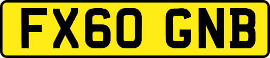 FX60GNB