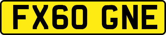 FX60GNE
