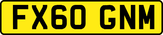 FX60GNM