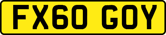FX60GOY
