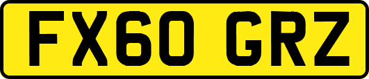 FX60GRZ