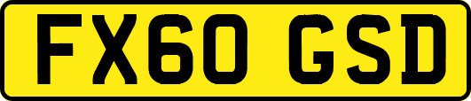 FX60GSD