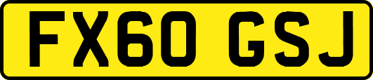 FX60GSJ