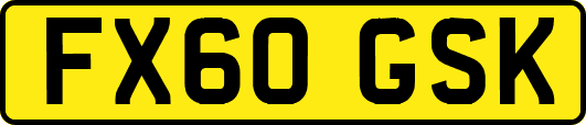 FX60GSK
