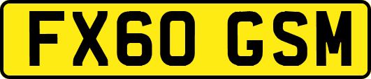 FX60GSM