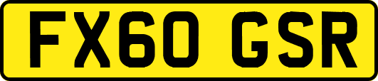 FX60GSR
