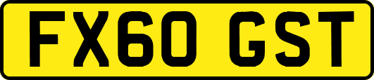 FX60GST