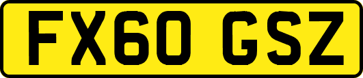 FX60GSZ