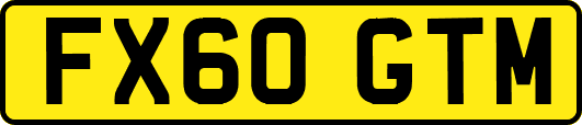 FX60GTM